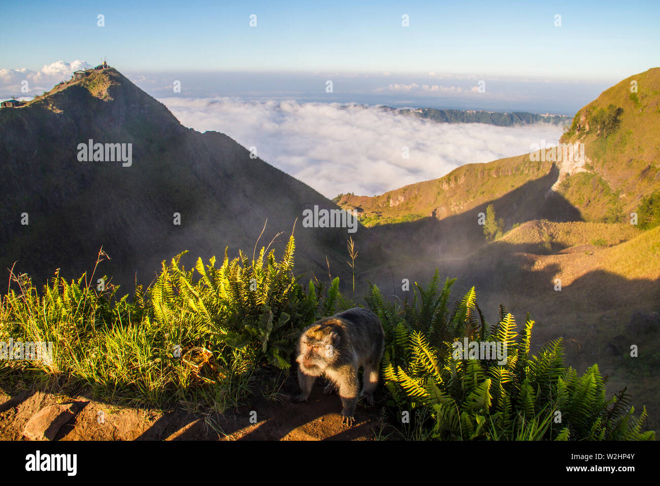 Sunrise on Batur volcano - Bali Stock Photo - Alamy