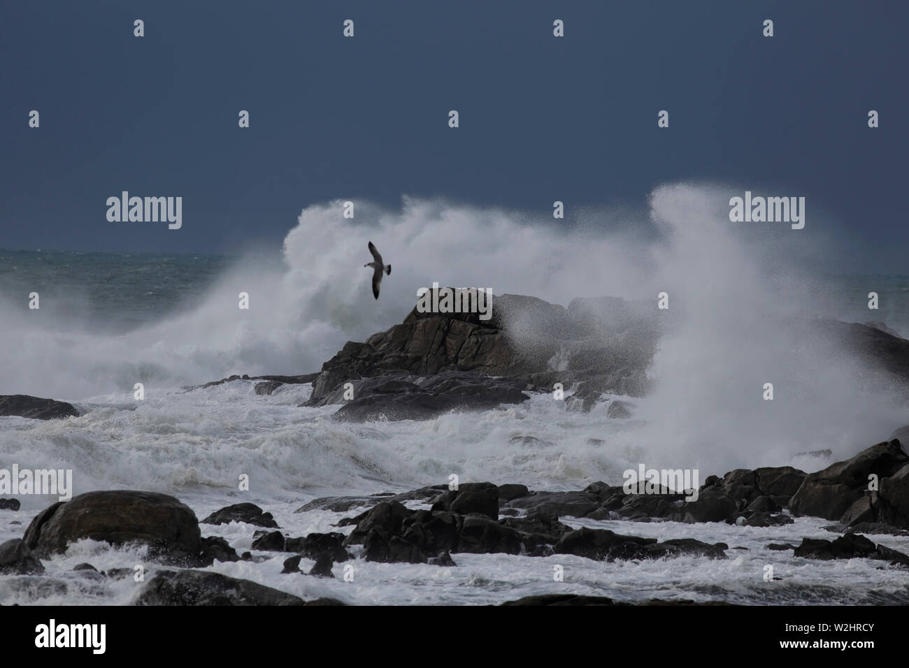 Big Stormy Waves Breaking In The Middle Of Cliffs And Rocks Big Stormy Waves Breaking In The Middle Of Cliffs And Rocks