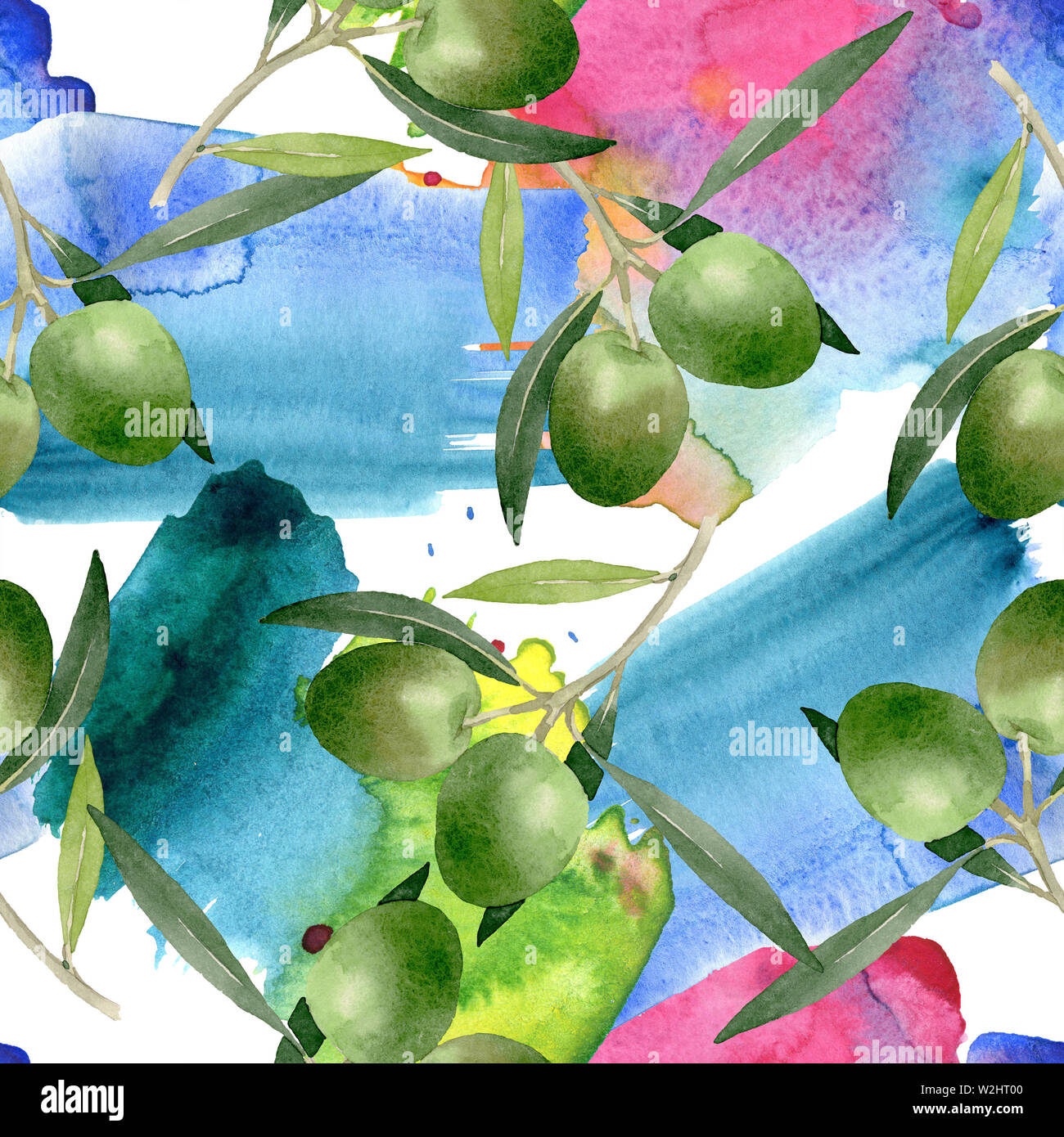Olive branch with black and green fruit. Watercolor background ...