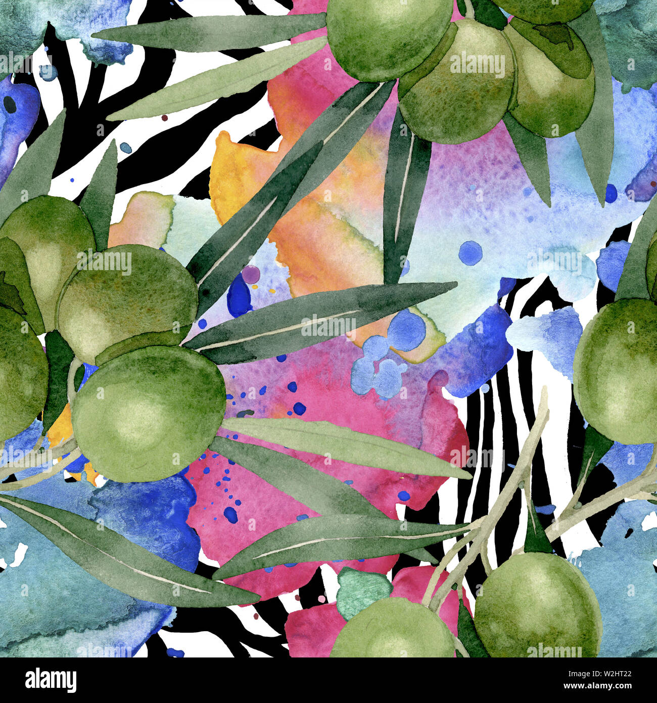 Olive branch with black and green fruit. Watercolor background ...