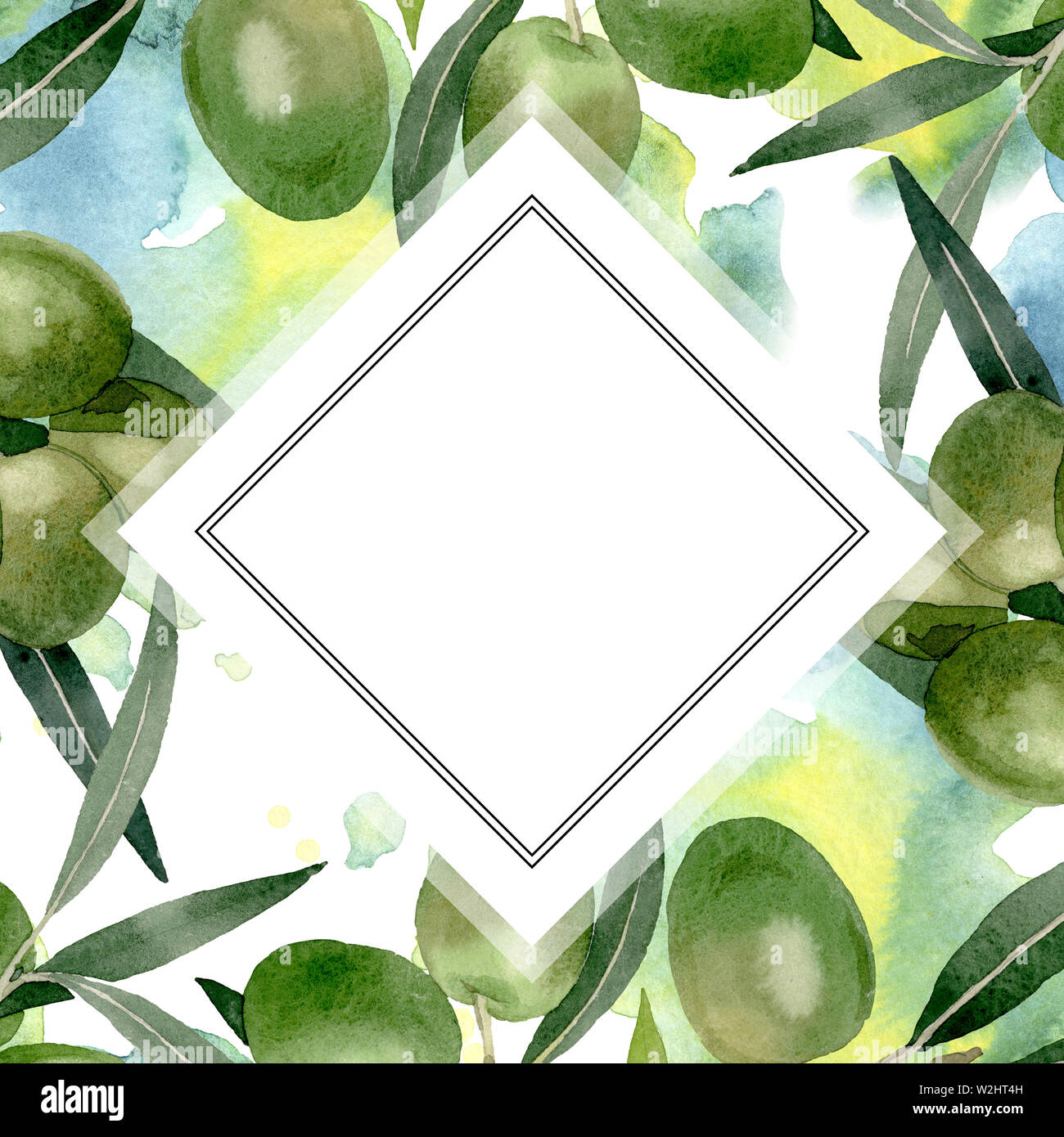Olive branch with black and green fruit. Watercolor background ...
