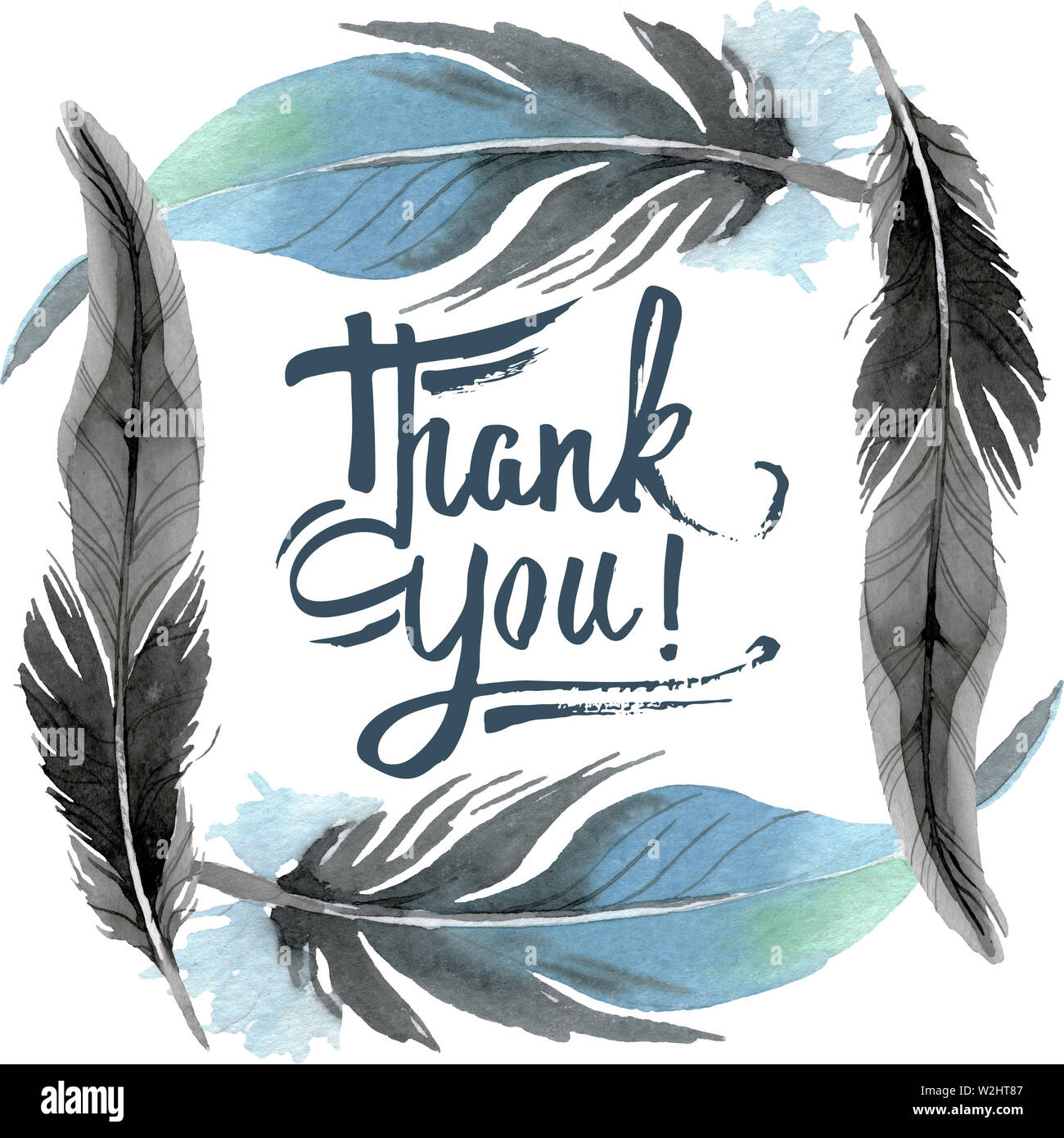 Bird feather from wing isolated. Watercolor background illustration set ...