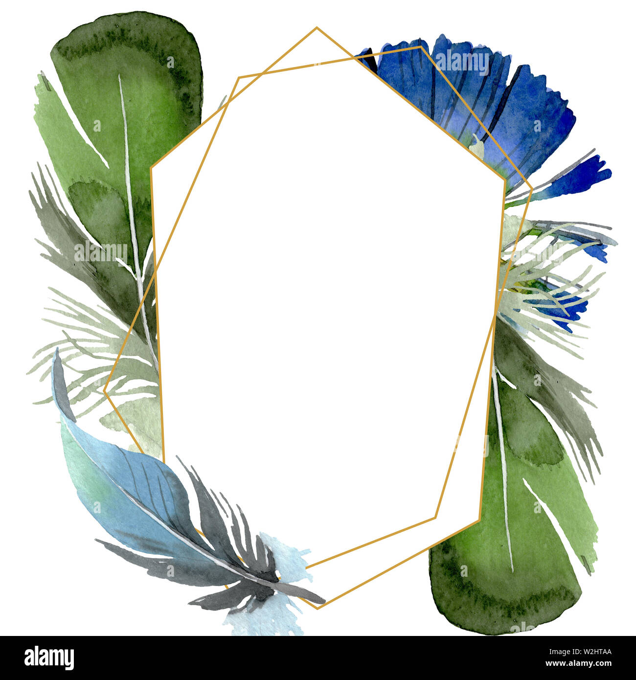 Bird feather from wing isolated. Watercolor background illustration set ...