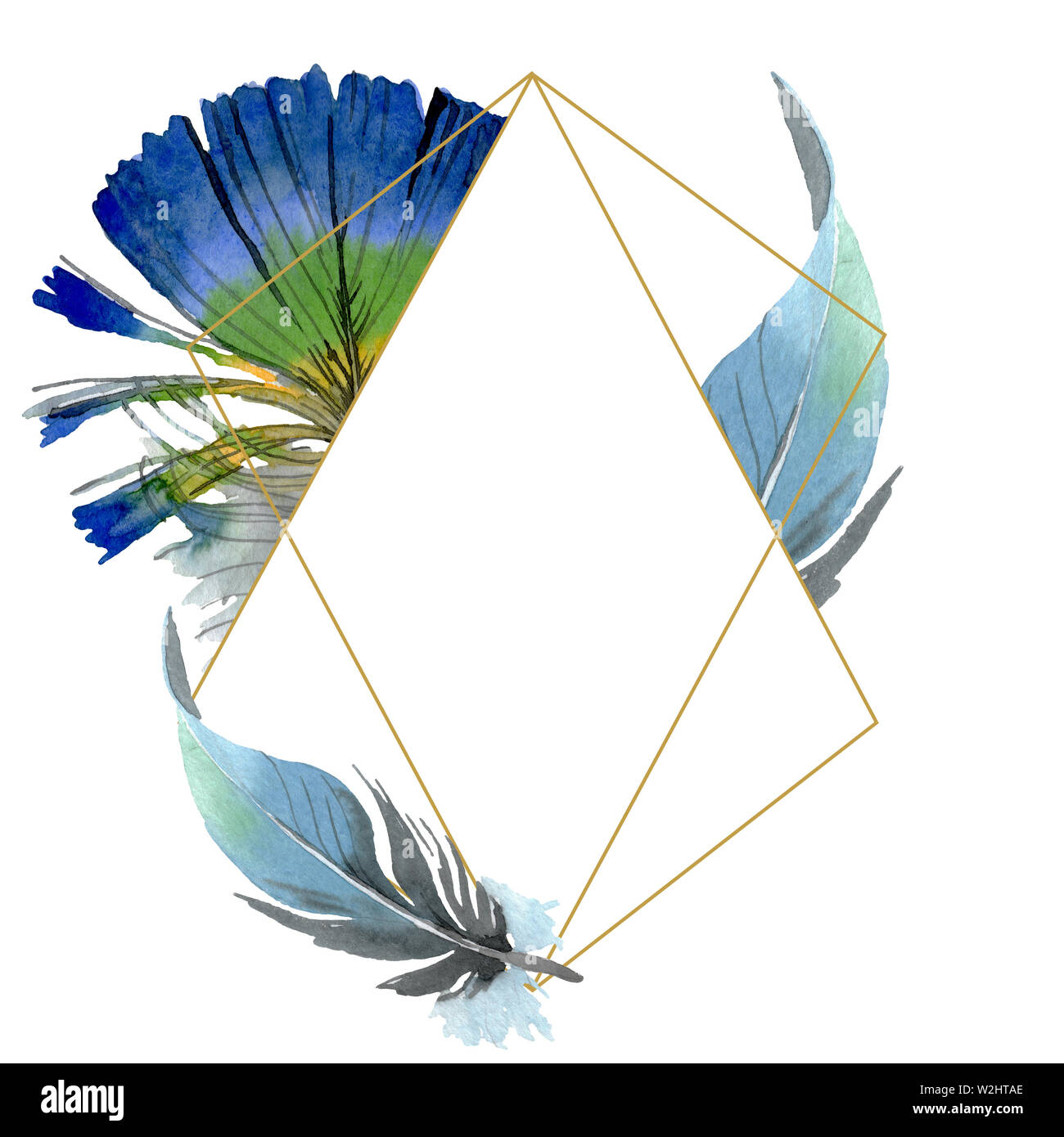 Bird feather from wing isolated. Watercolor background illustration set ...