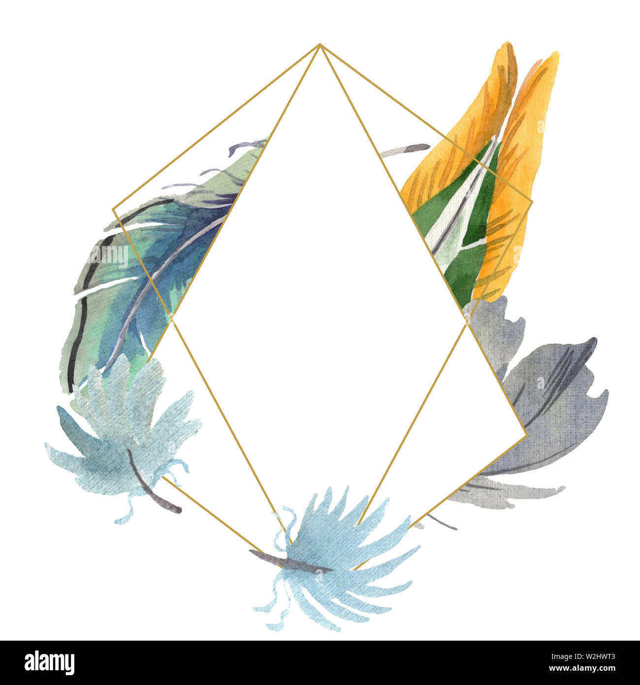 Watercolor bird feather from wing isolated. Aquarelle feather for ...
