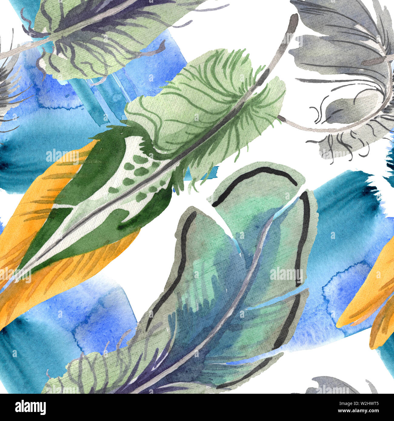 Watercolor bird feather from wing isolated. Aquarelle feather for ...