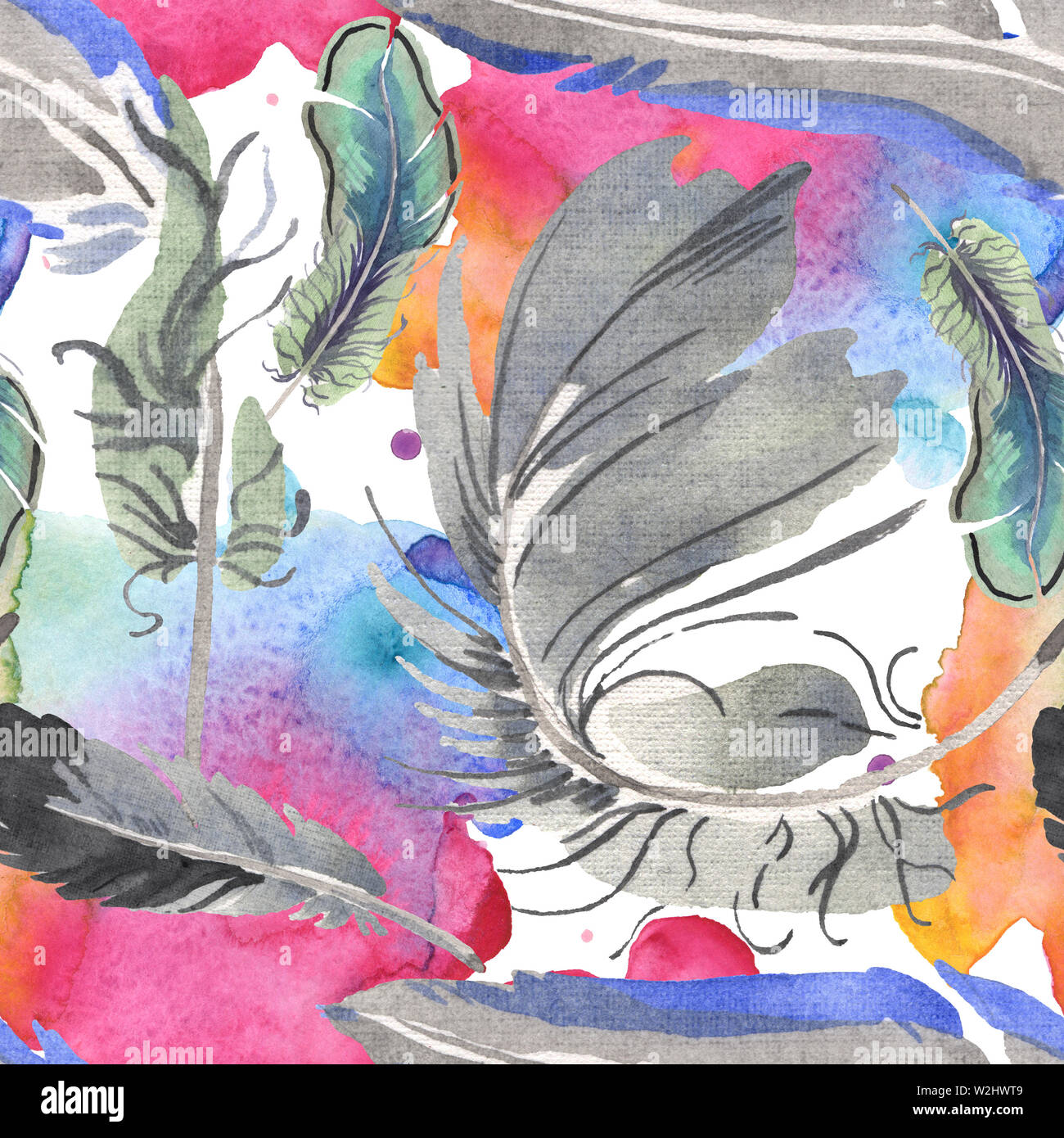 Watercolor bird feather from wing isolated. Aquarelle feather for ...