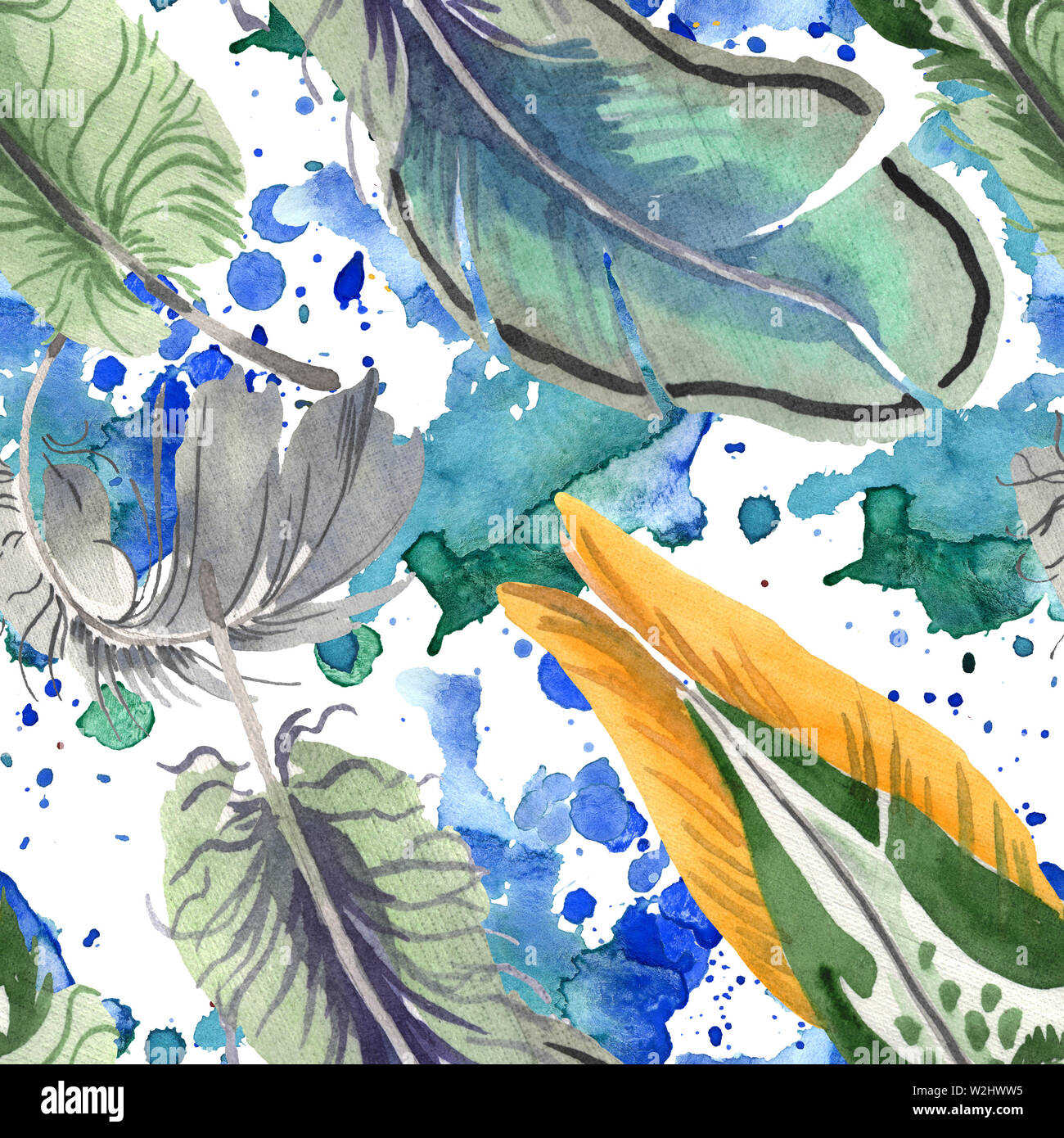 Watercolor bird feather from wing isolated. Aquarelle feather for ...