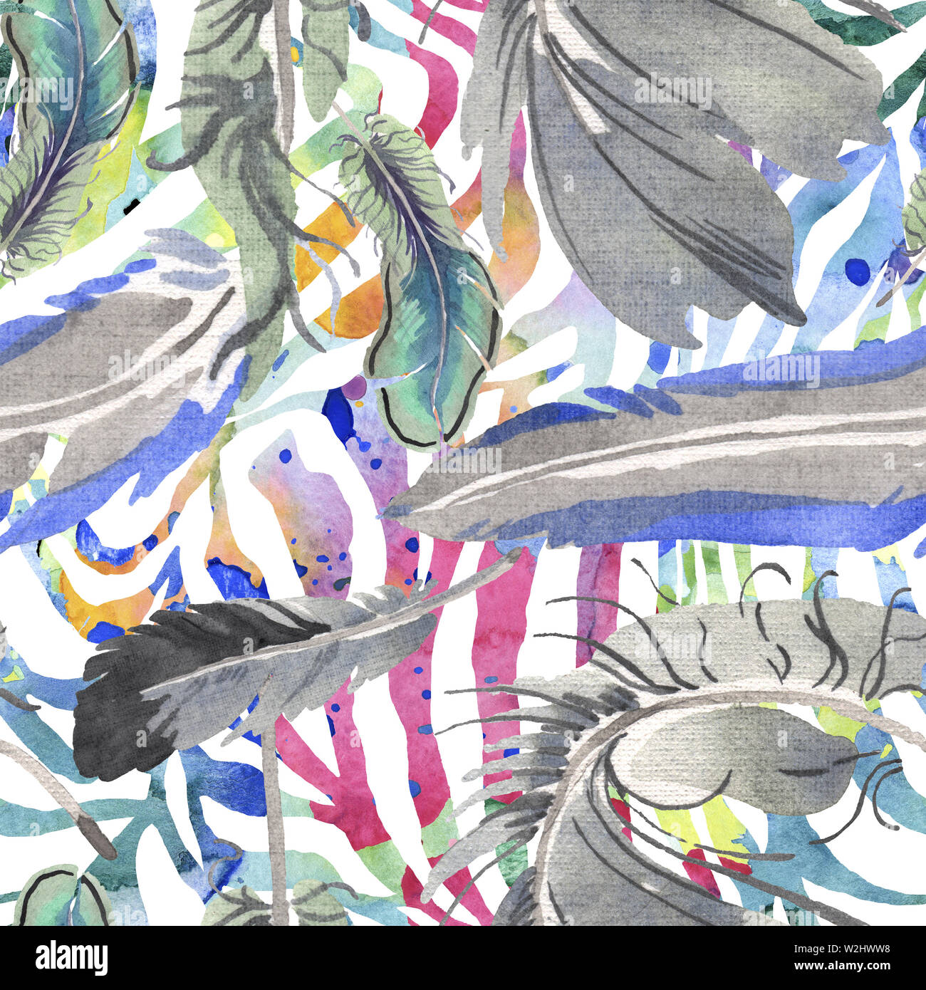 Watercolor bird feather from wing isolated. Aquarelle feather for ...