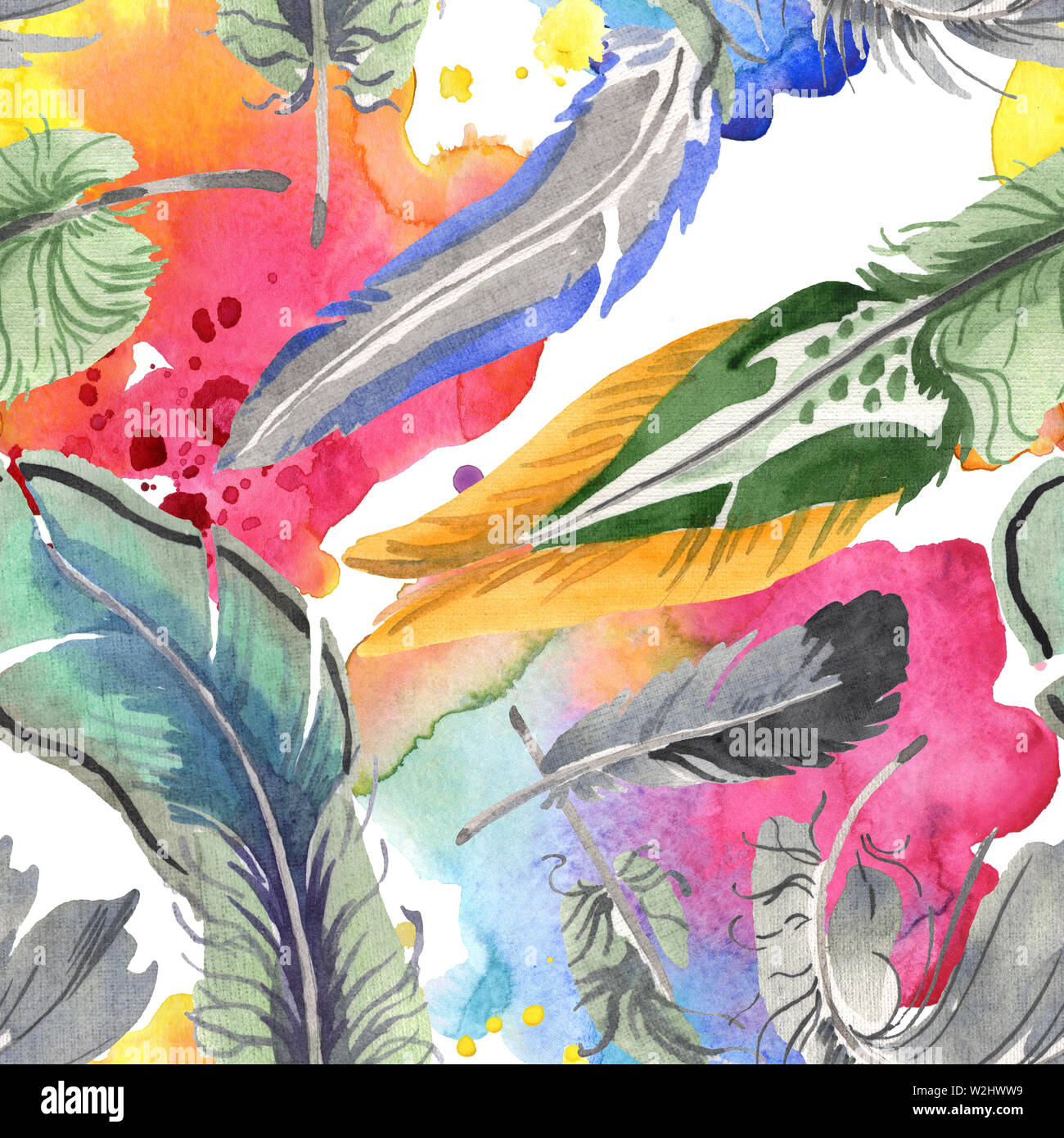 Watercolor bird feather from wing isolated. Aquarelle feather for ...