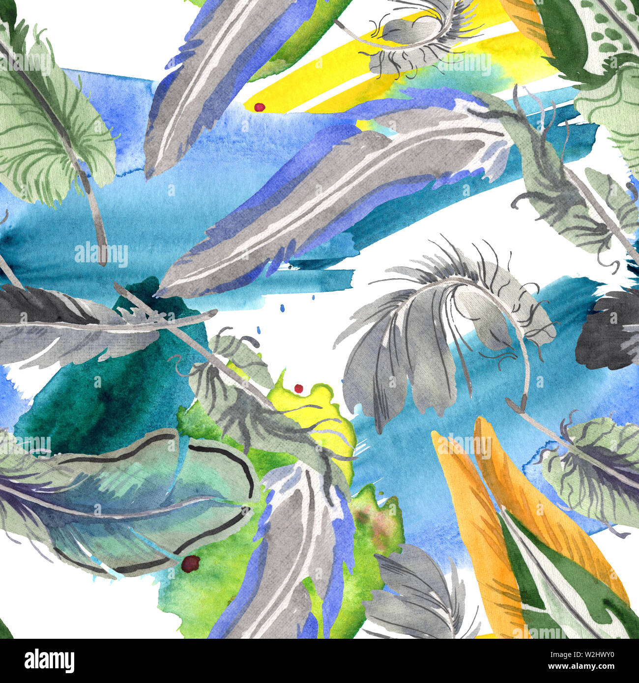 Watercolor bird feather from wing isolated. Aquarelle feather for ...