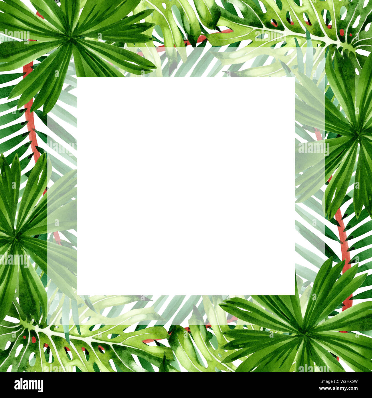 Exotic Tropical Hawaiian Summer Palm Beach Tree Leaves Jungle Botanical Watercolor Background Illustration Set Watercolour Drawing Fashion Aquarell Stock Photo Alamy