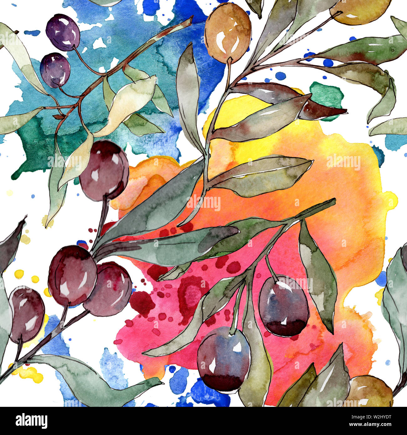 Olive branch with black and green fruit. Watercolor background ...