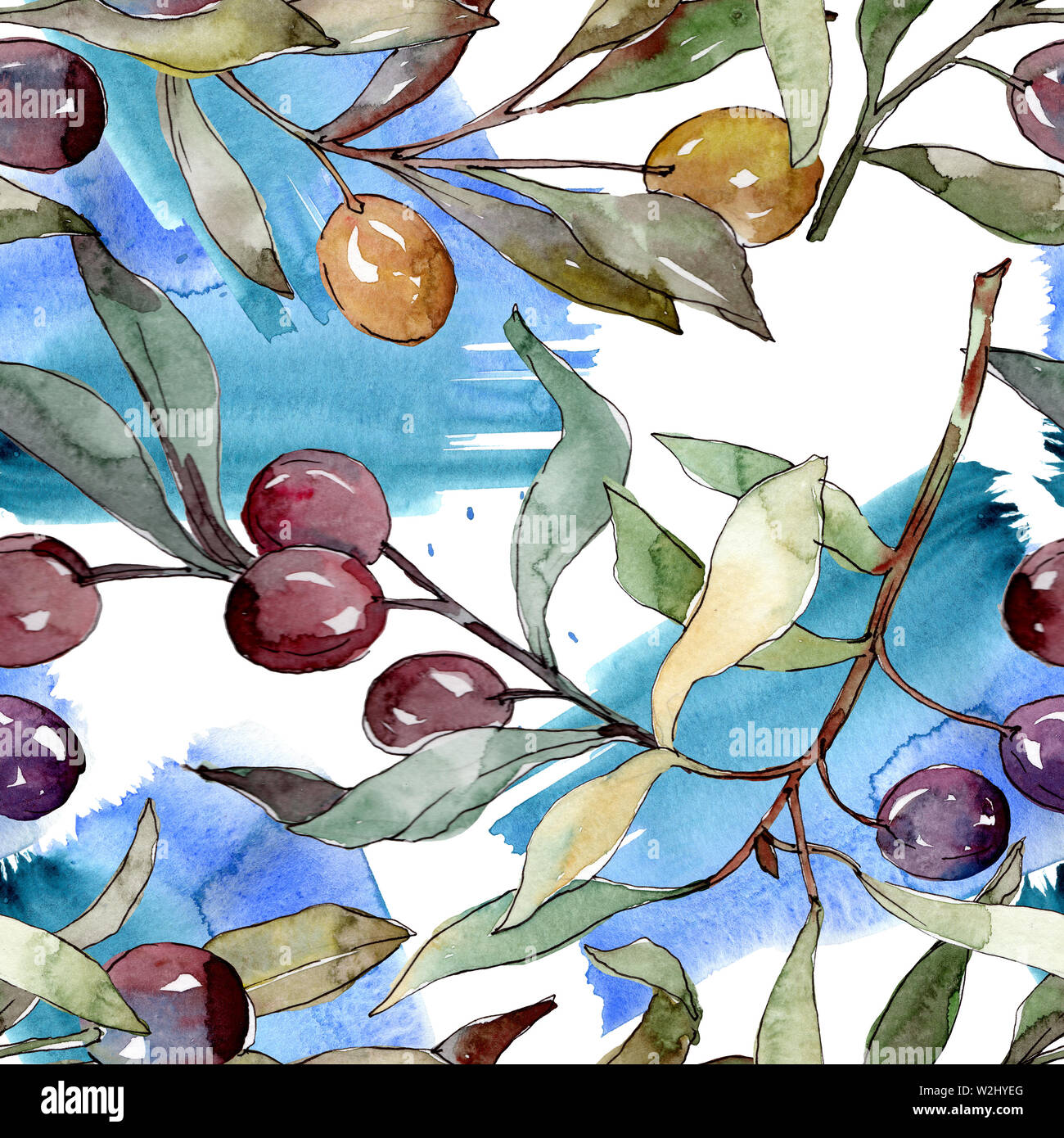 Olive branch with black and green fruit. Watercolor background ...