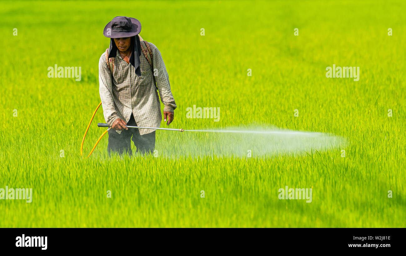 Farmer spraying pesticide hi-res stock photography and images - Alamy
