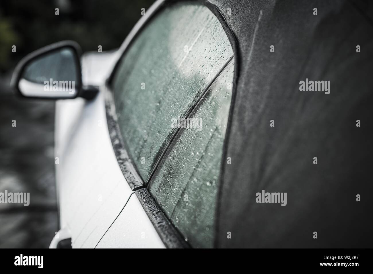 Taking Care of Convertible Car Roof. Vehicle Roof Gentle Washing Using Special Detergents. Stock Photo