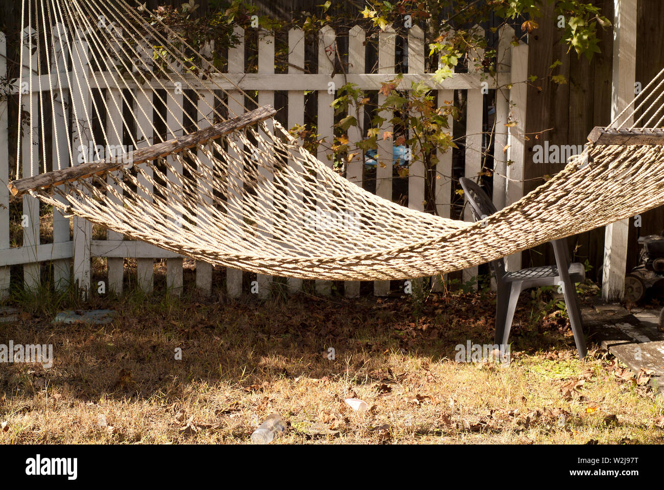 HAMMOCK TIME: A hammock hangs in the backyard of a home on a sunny fall day  Stock Photo - Alamy