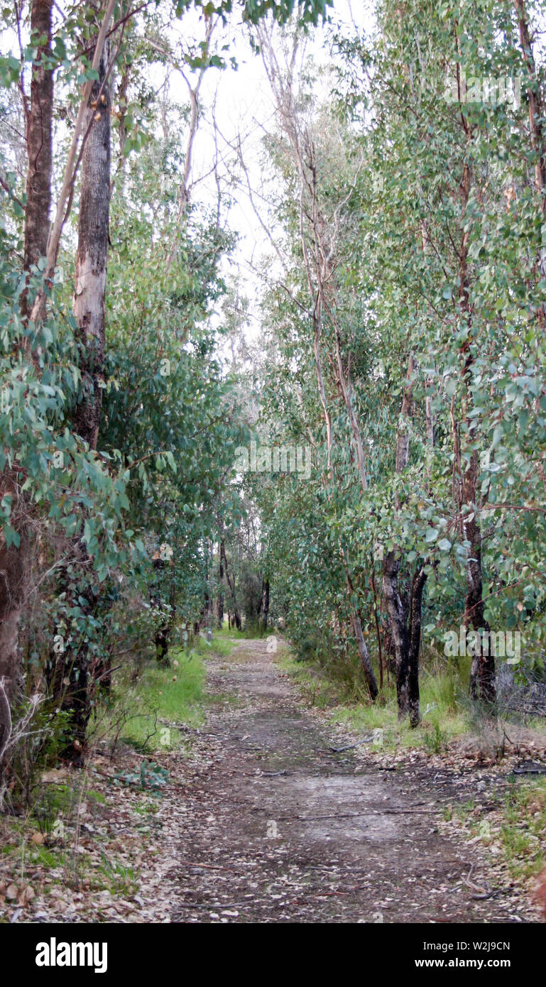 The Spectacles Walk Trail, Perth Stock Photo - Alamy