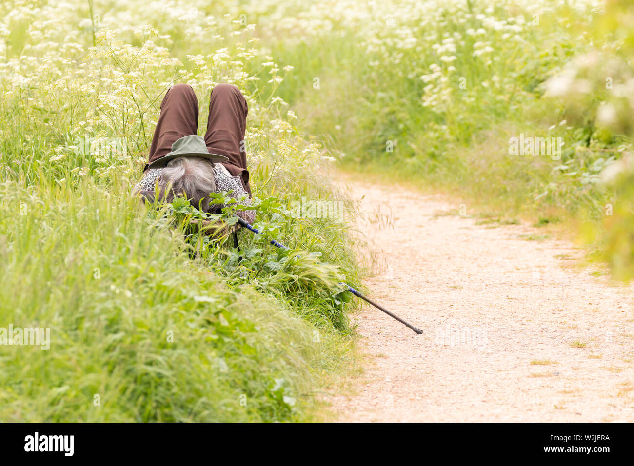Person with a hat on face and a trekking stick on a side resting on a bench in a country park in summer Stock Photo