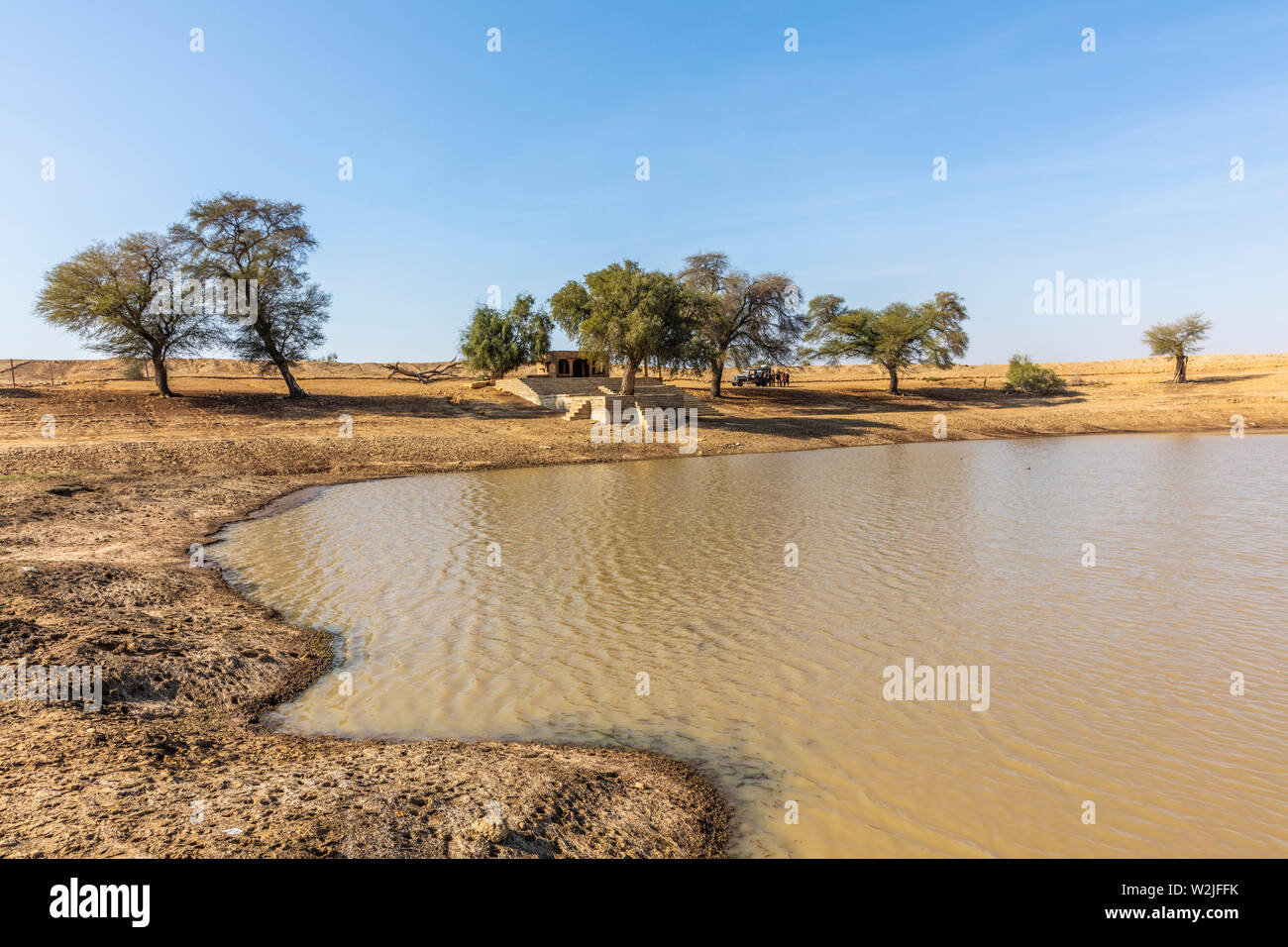 oasis in Thar Desert Stock Photo