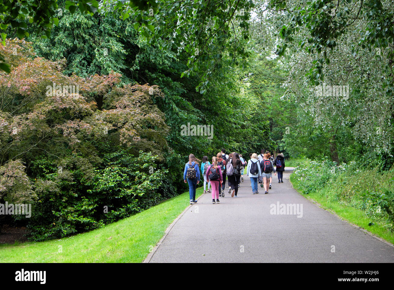 Young people students rear view walking outside in summer in a group in Bute Park Cardiff Wales UK  KATHY DEWITT Stock Photo