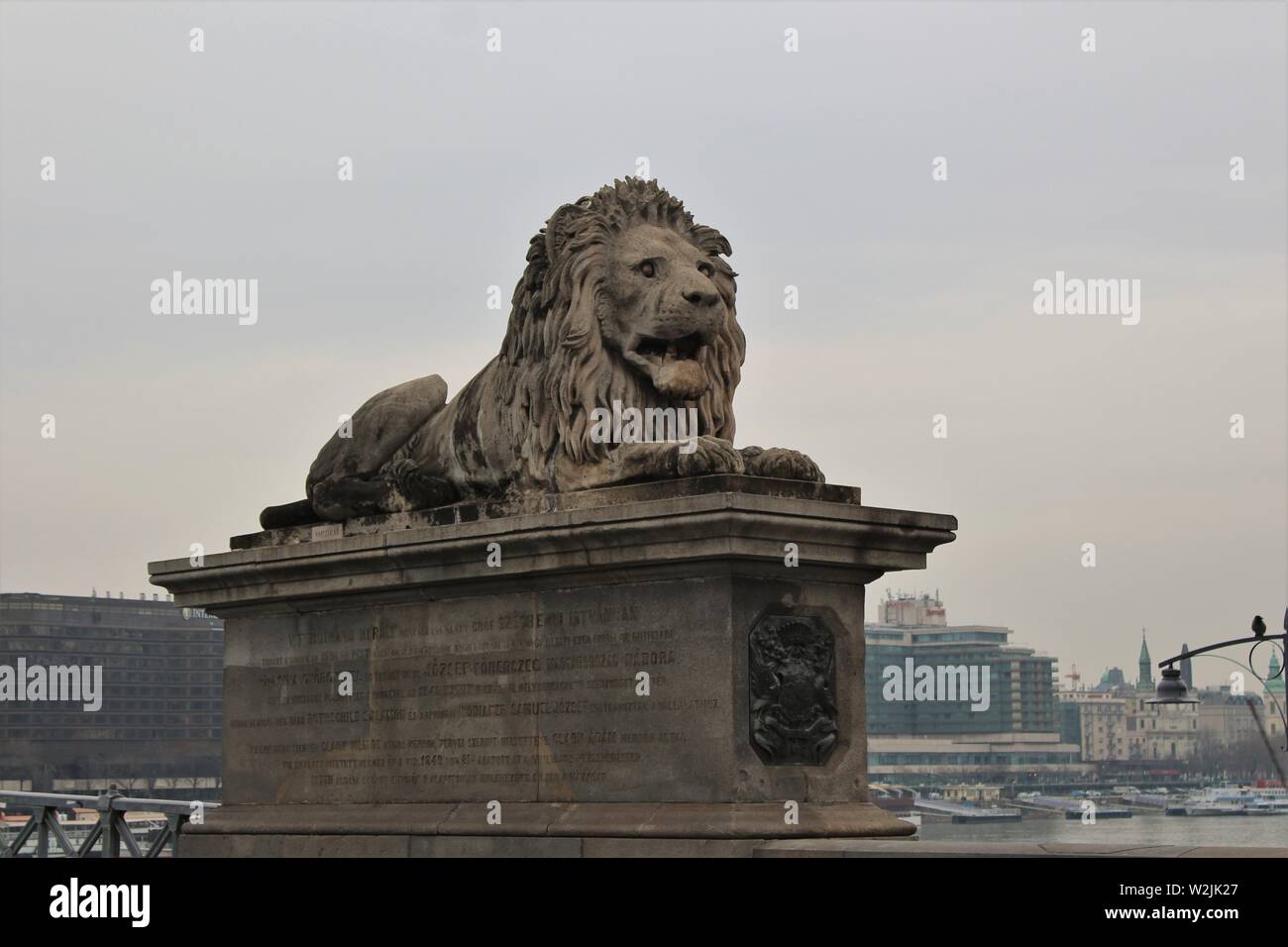 One of the lion sculptures on the Buda side of the Széchenyi chain bridge in Budapest. The view looks across the river Danube to the Pest side. Stock Photo