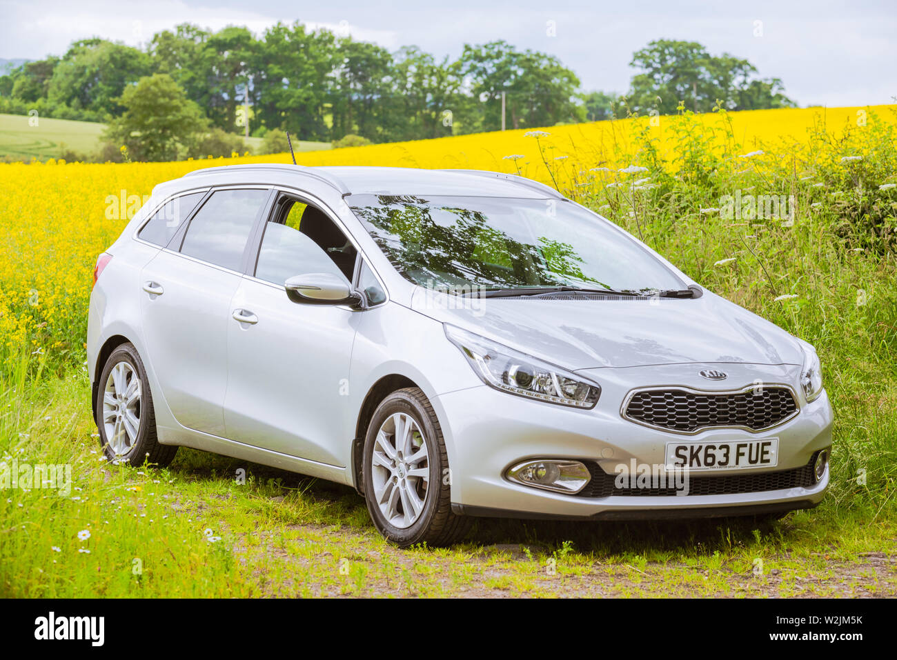July 2019, Doune, Scotland: Kia Ceed SW and blooming yellow rapeseed field with overcast sky in the background Stock Photo