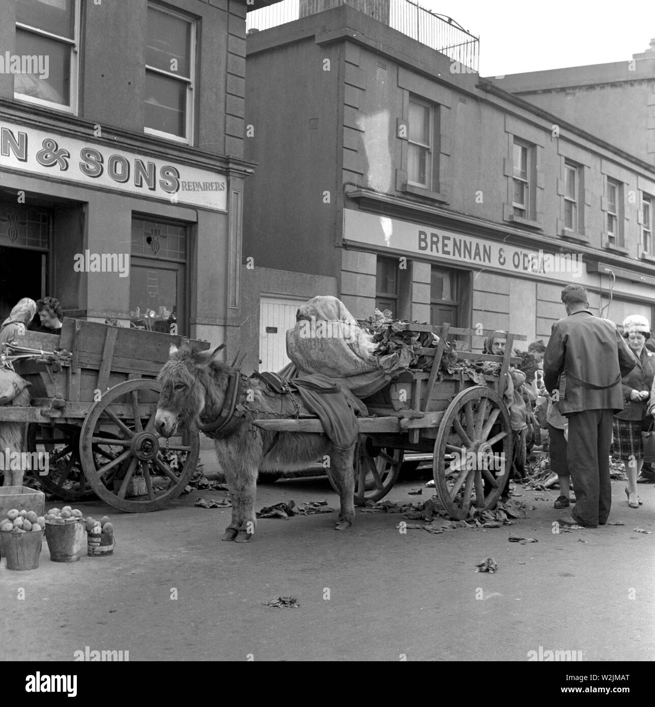 Selling cabbages and potatoes in the street from carts pulled by a donkey, probably near the Sandyford area in Dublin, Ireland c1960 Photo by Tony Henshaw Stock Photo