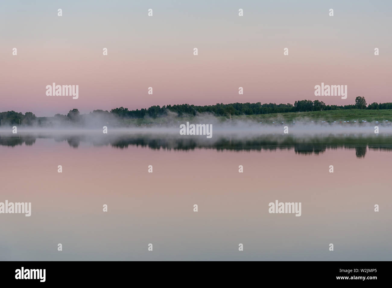 Delicate pink sunrise on the lake with fog, birch trees and reflection ...