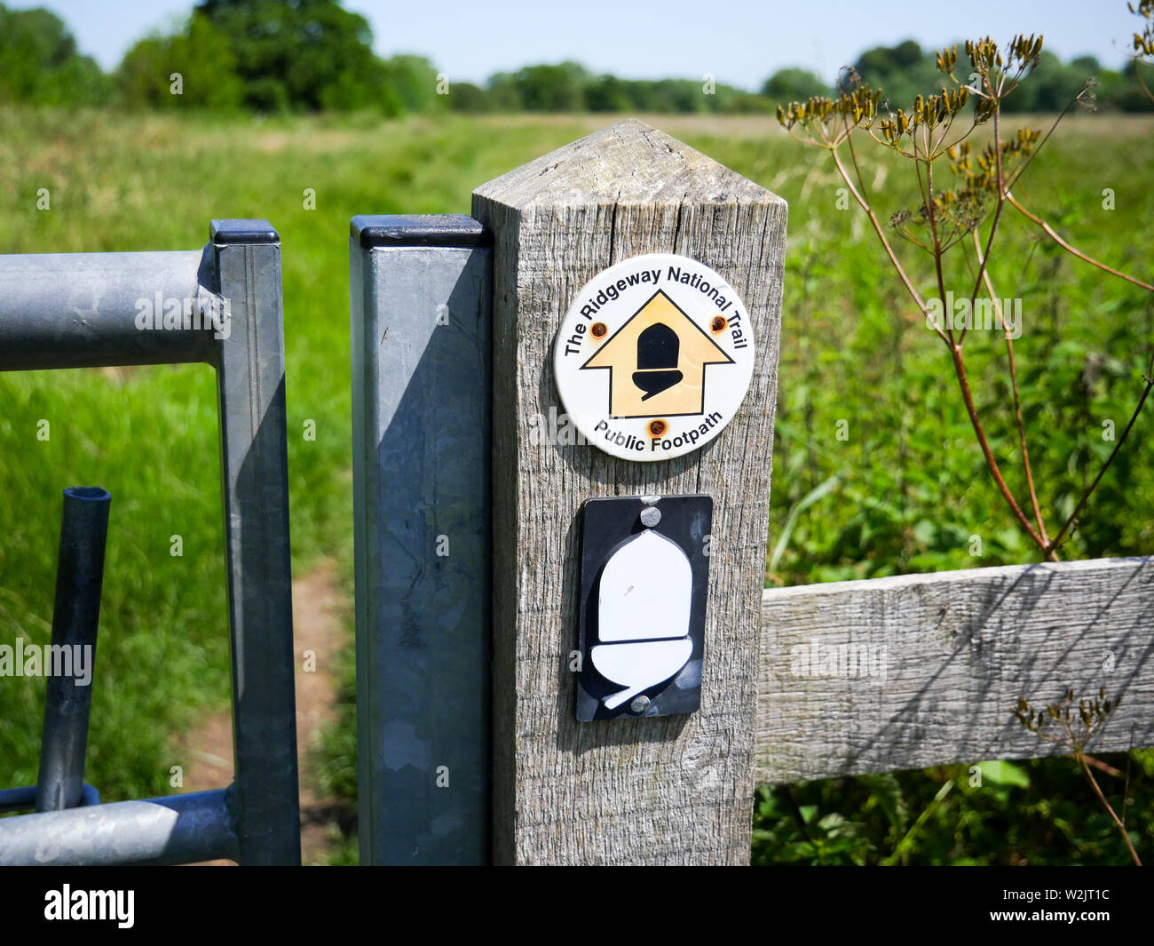 The Ridgeway National Trail Sign, on Gatepost, Little Stoke, Oxfordshire, England, UK, GB Stock