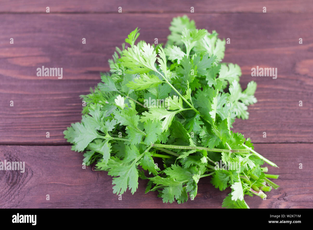 bunch of fresh green cilantro on wooden background Stock Photo