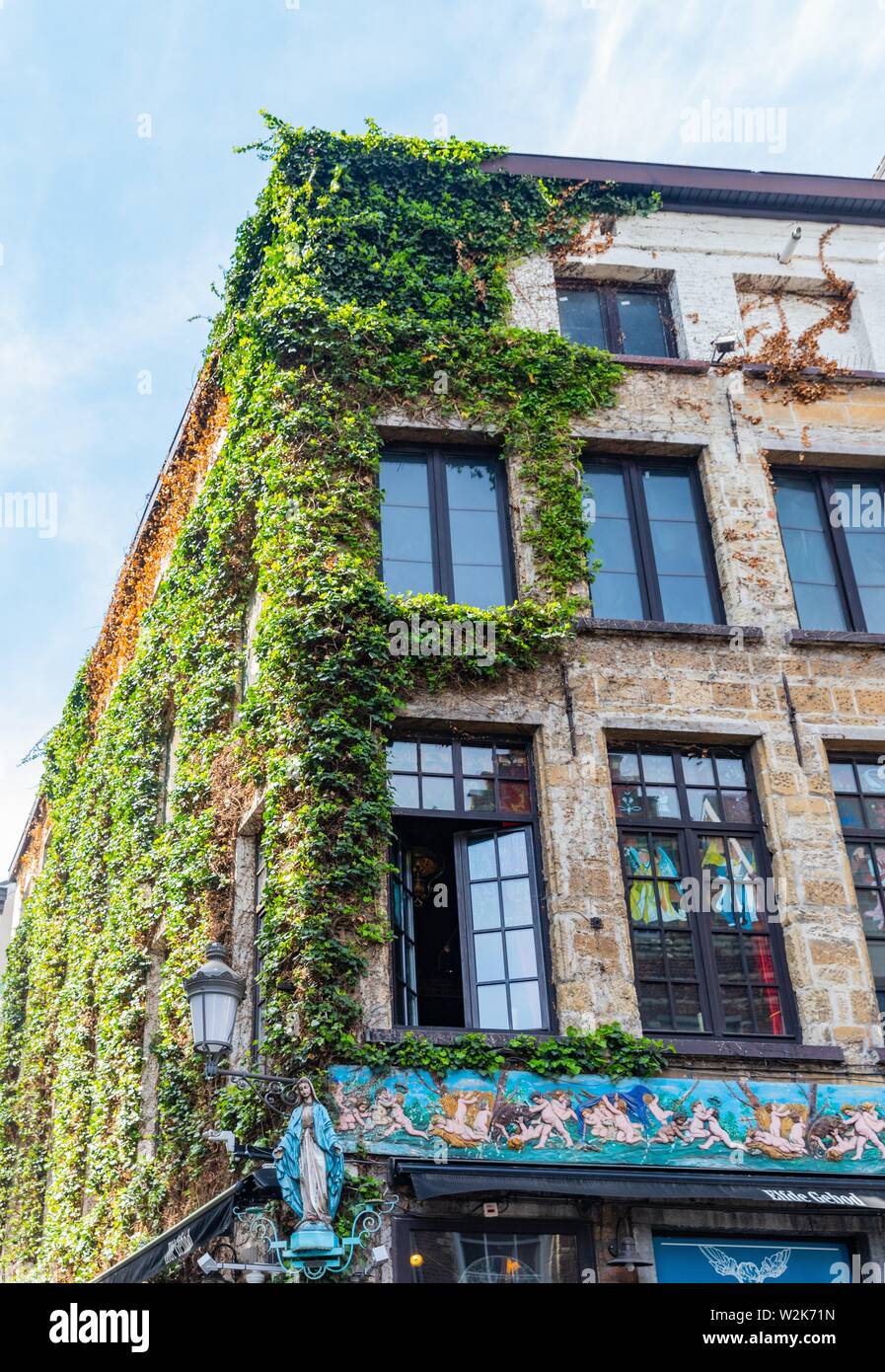 Red brick building with green vine on the wall in Antwerp, Belgium Stock Photo