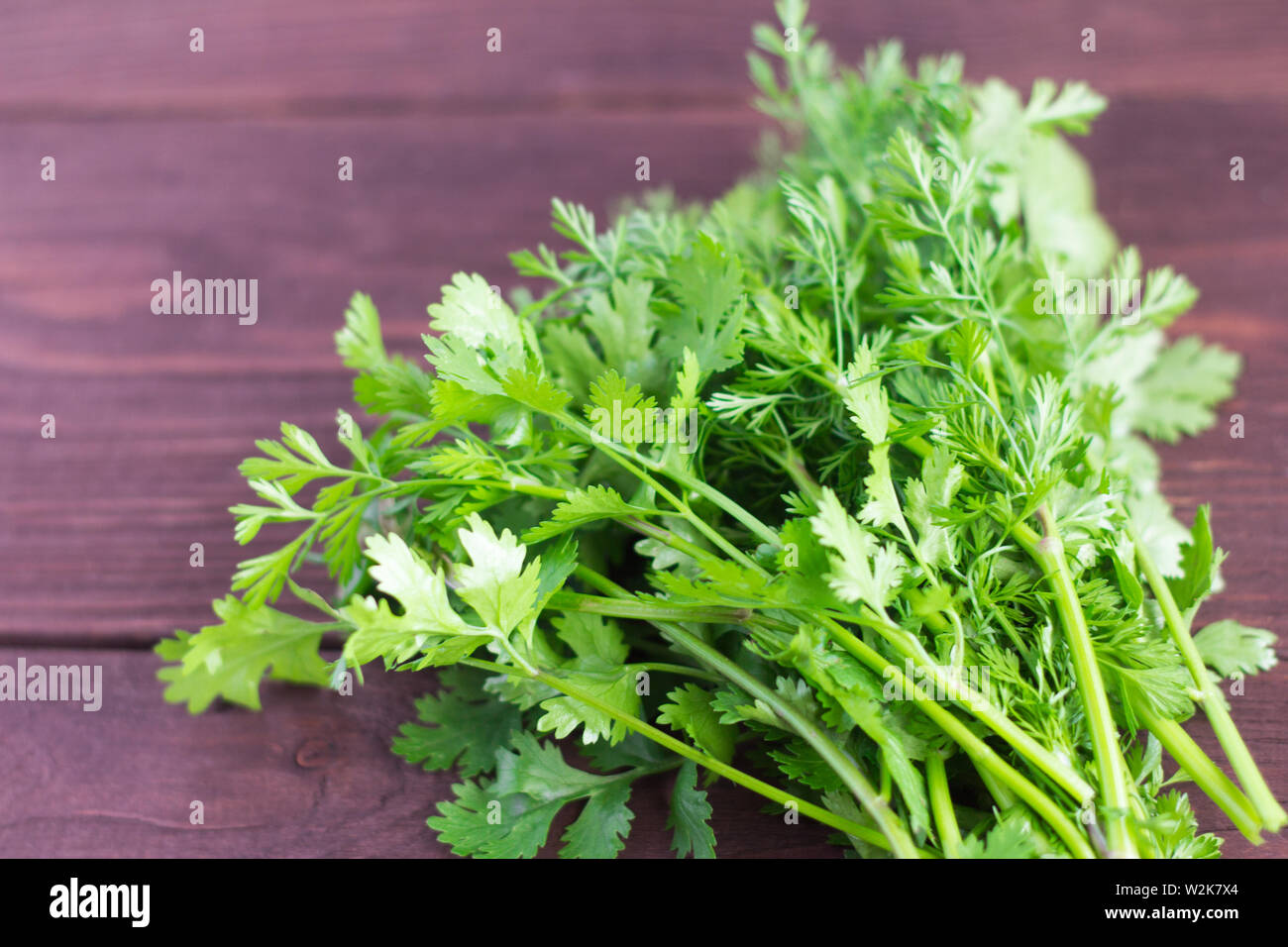 bunch of fresh green cilantro on wooden background Stock Photo
