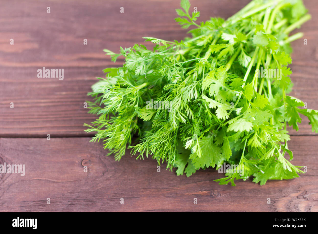 bunch of fresh green cilantro on wooden background Stock Photo