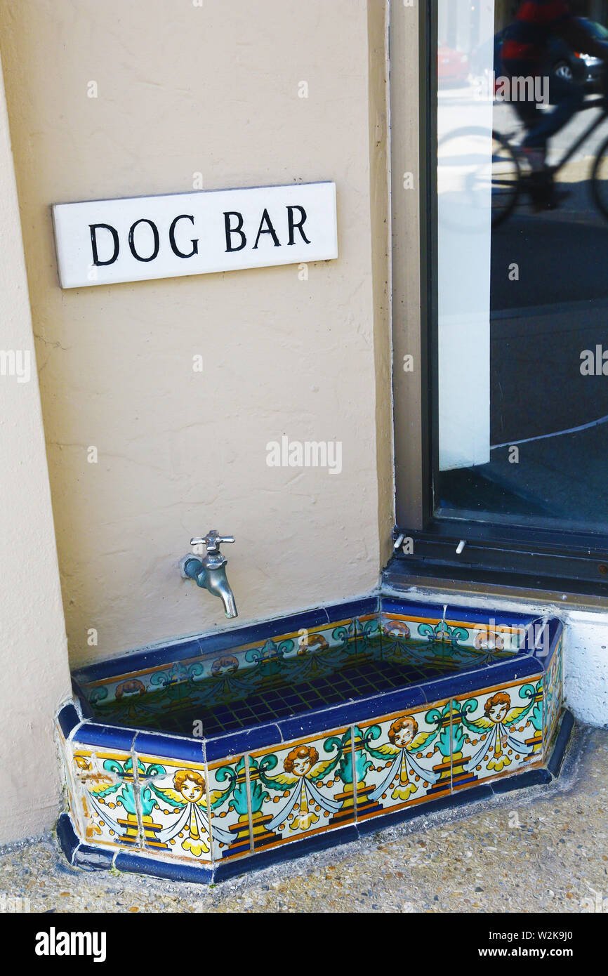 Elegant drinking trough for dogs in Palm Beach Stock Photo