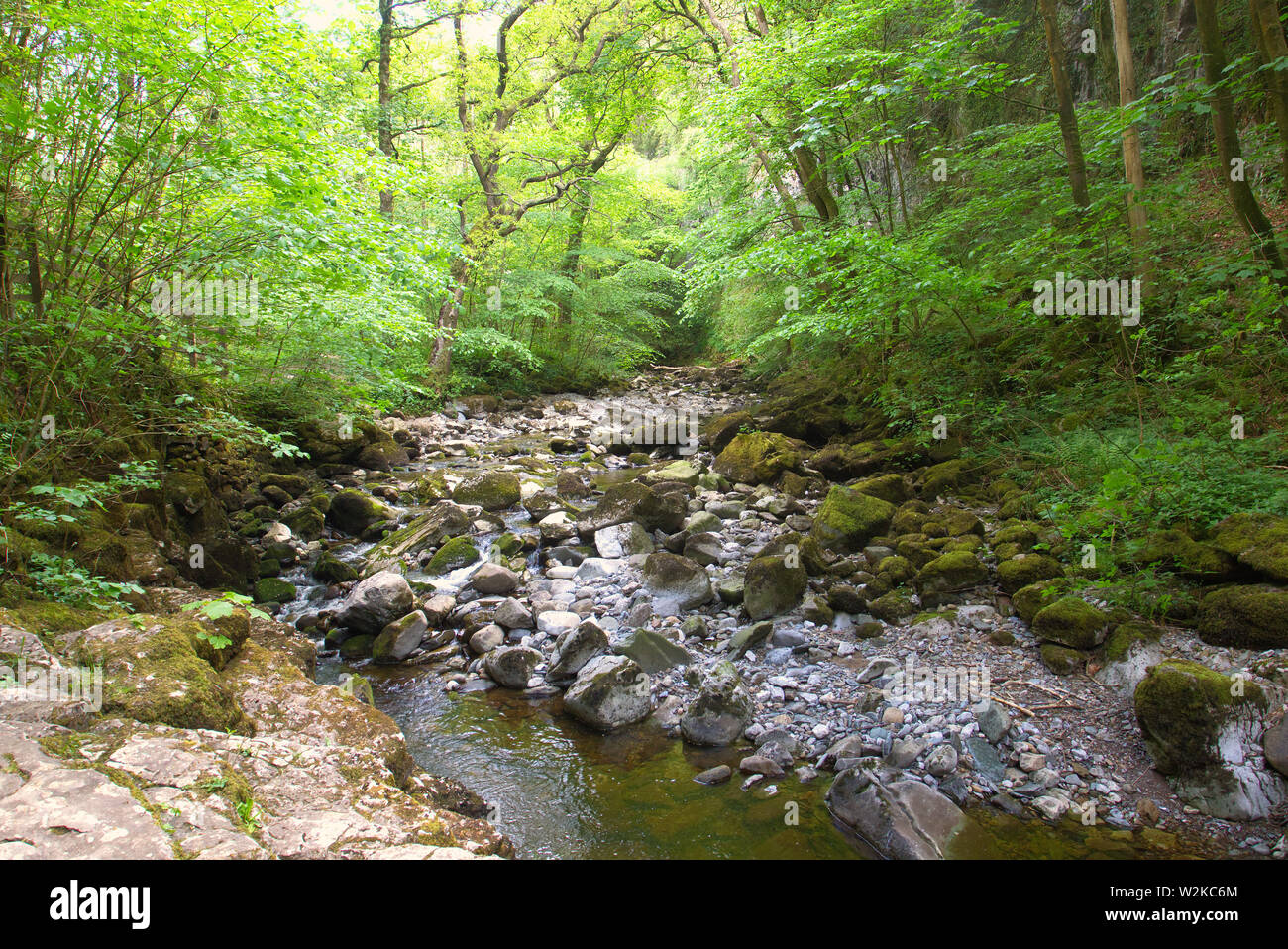 A river passing through a wooded valley in the North Yorkshire Dales. Stock Photo