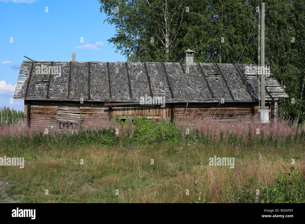 Old, gray and weathered outbuilding with disrepair wood shingle roof at abandoned farmstead in Ylöjärvi, Finland Stock Photo