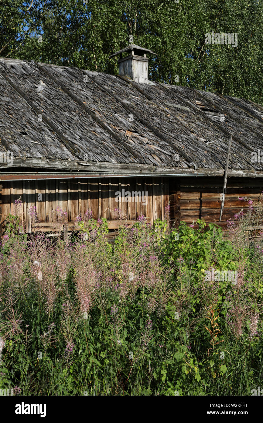Old weathered log barn with wood shingle roof in disrepair at abandoned farmstead in Ylöjärvi, Finland Stock Photo