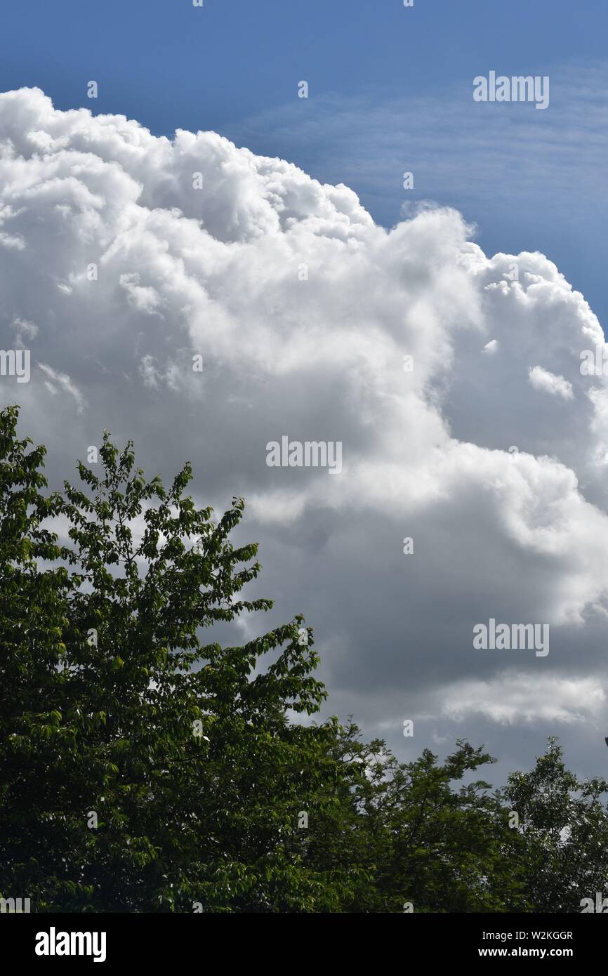 big white fluffy cloud bank against a blue sky with green treetops in the foreground Stock Photo