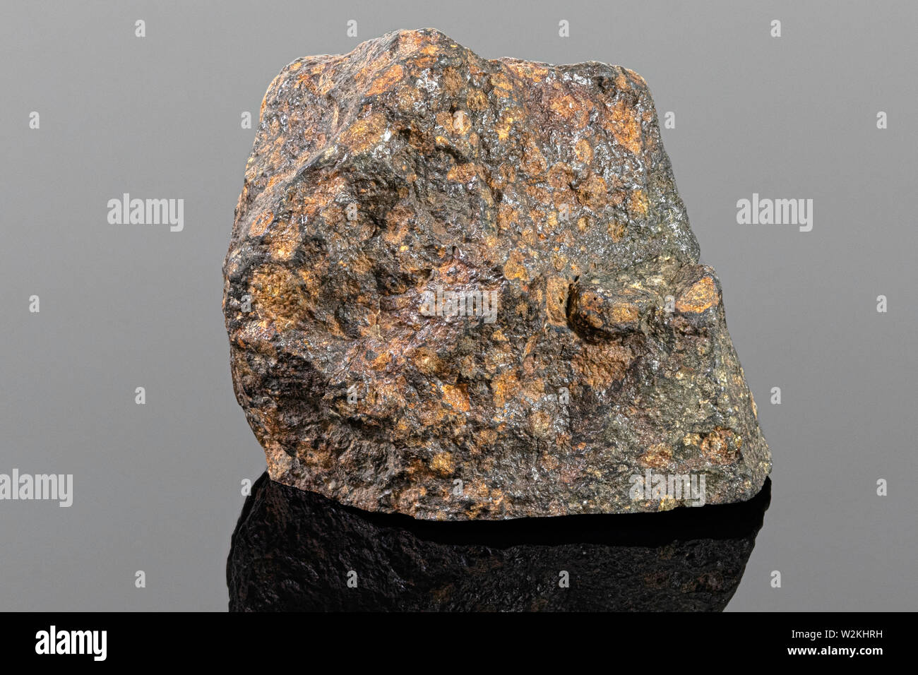 Carbonaceous Chondrite Meteorite (CV3) formed by accretion of dust, small grains and calcium-aluminum-righ inclusions (CAIs) in the early Solar System Stock Photo