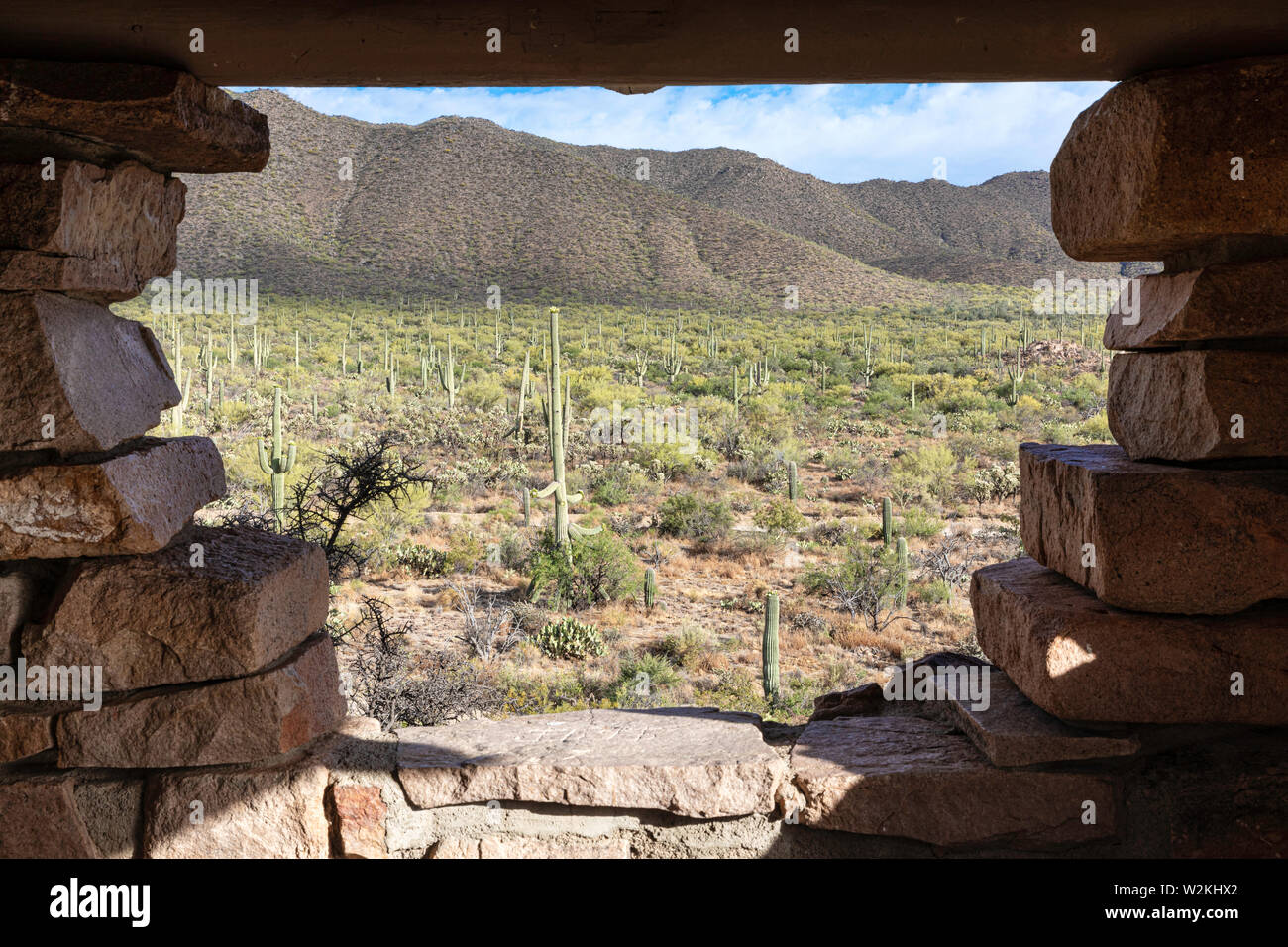 Looking through a stone hut out into a desert landscape, Saguaro National Park, West Unit, Tucson, Arizona Stock Photo