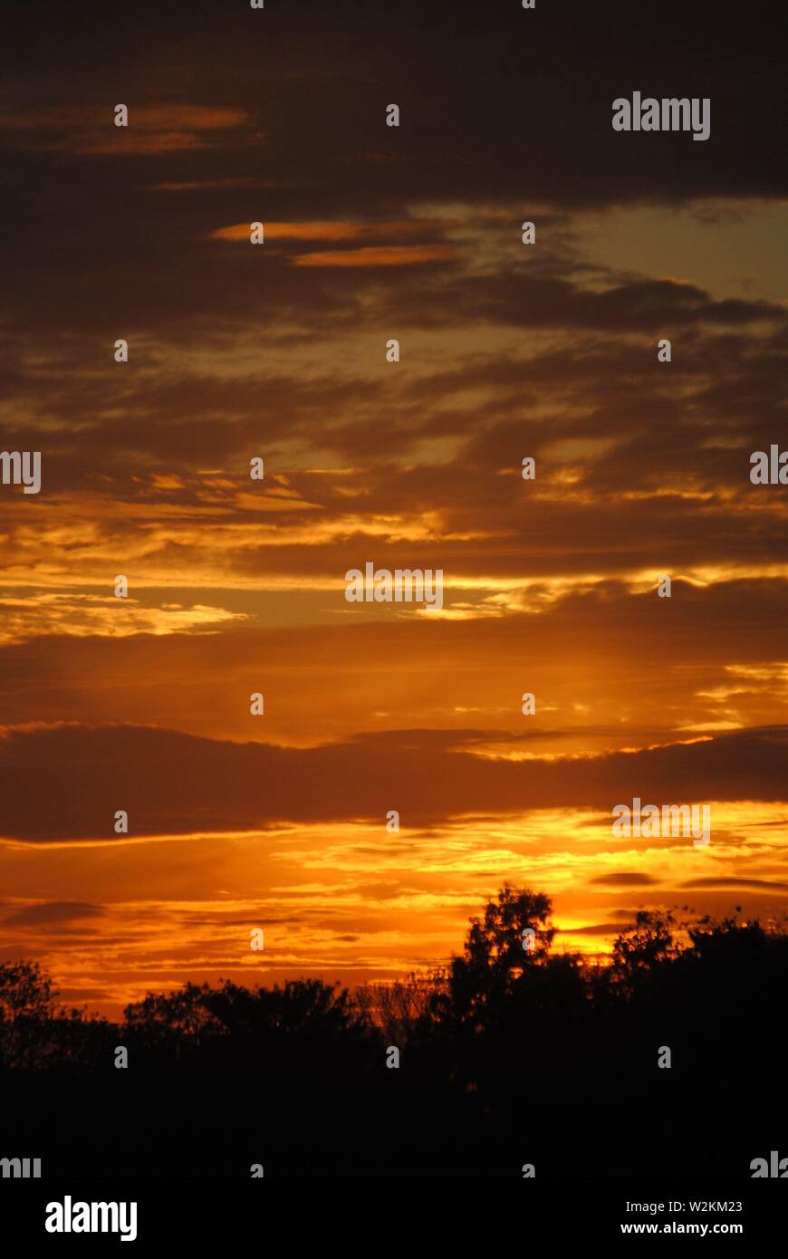 sunset sequence golden glow with lots of clouds with tree silhouettes Stock Photo