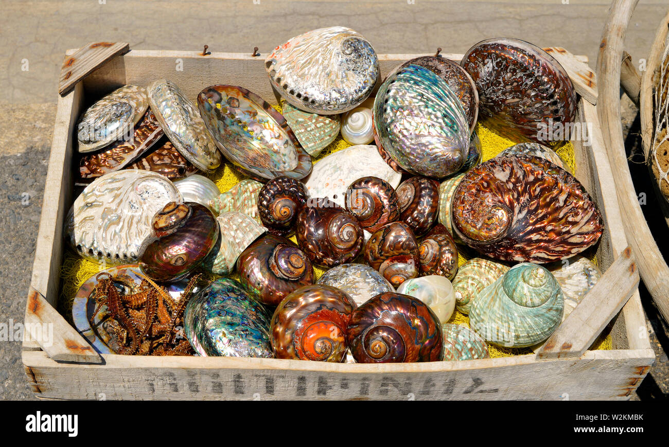 Box of colourful seashells on Heraklion harbour in Crete Stock Photo ...