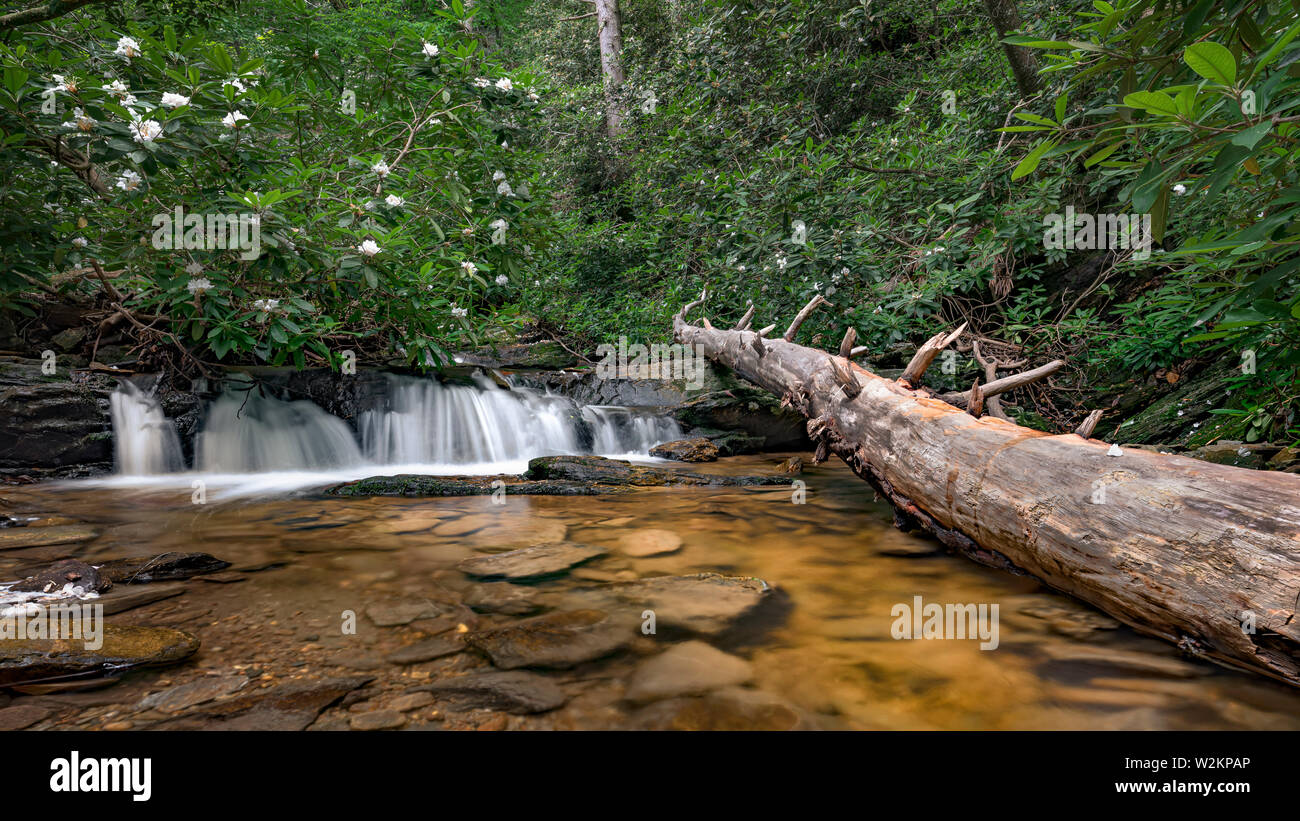 A creek with a small waterfall and fallen tree. Hanging Rock State Park, North Carolina. Landscape paoramic photograph. Stock Photo