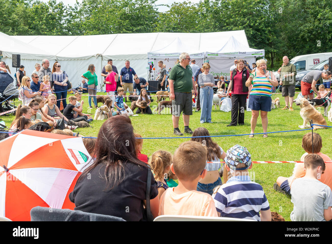 Catch a sausage competition in the dog show at Stockton Heath Festival 2019 Stock Photo Alamy