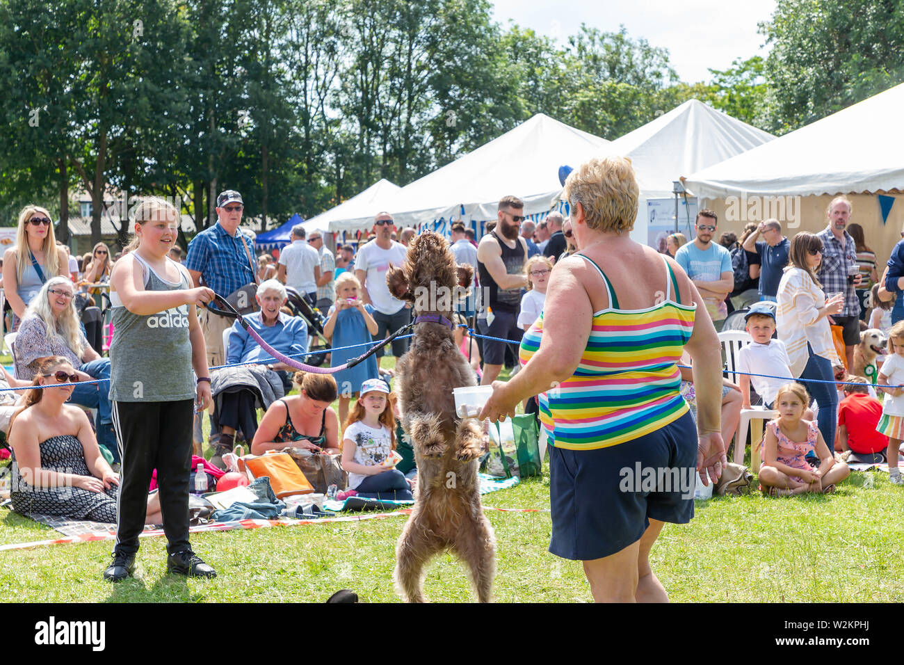 Catch a sausage competition in the dog show at Stockton Heath Festival 2019 Stock Photo Alamy