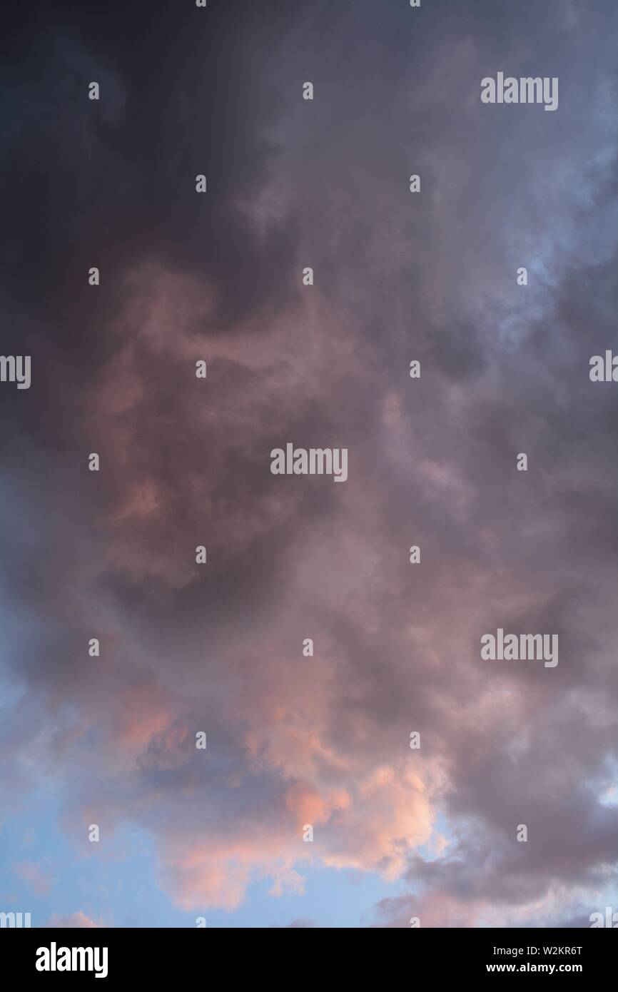 landscape, skyscape, cloudy sky with trees in the distance Stock Photo ...
