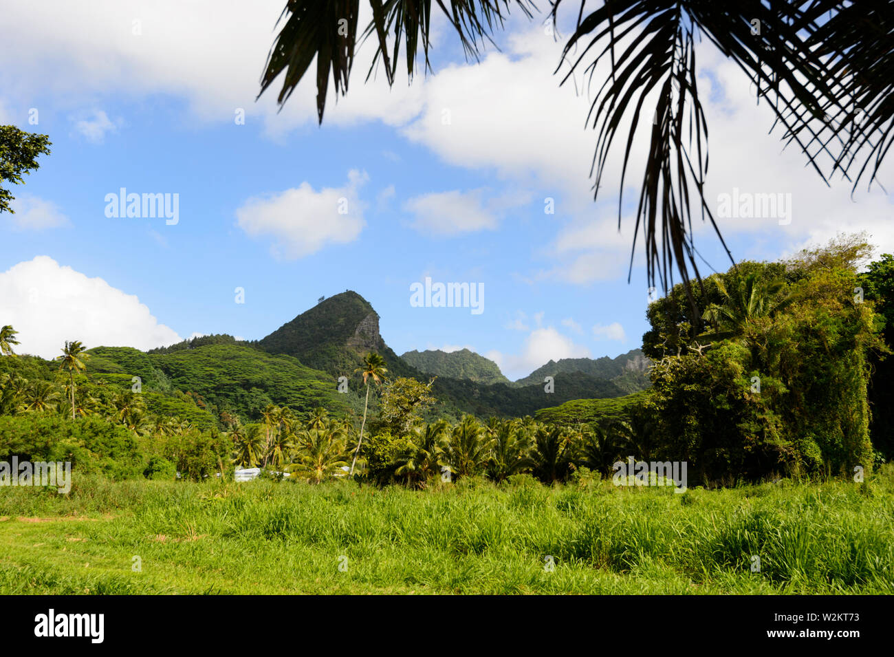 Scenic view of the mountains at Rarotonga, Cook Islands, Polynesia Stock Photo