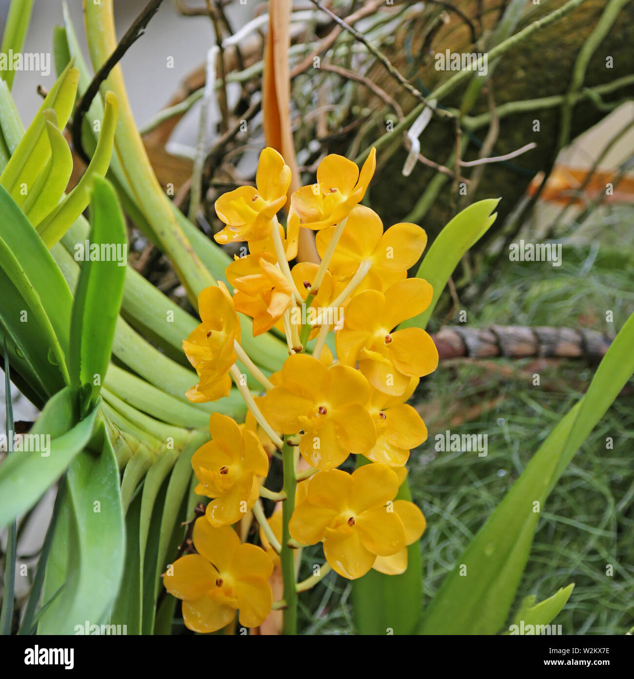 My Image 27