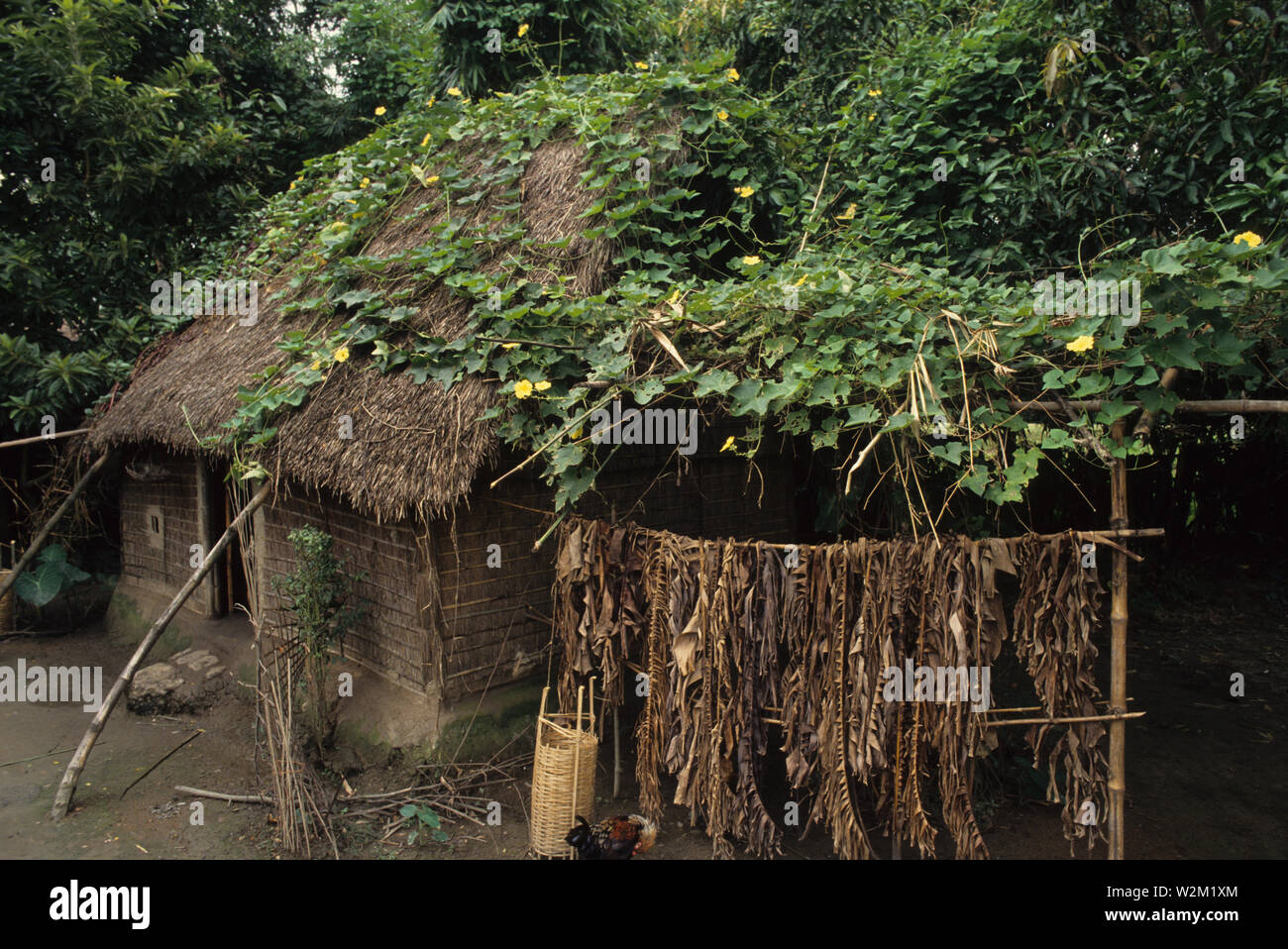 Khaliajuri hires stock photography and images Alamy